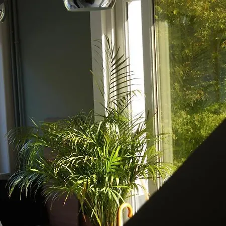 فندق مبيت وإفطار Les Terrasses De *