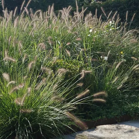 Les Terrasses De فندق مبيت وإفطار *